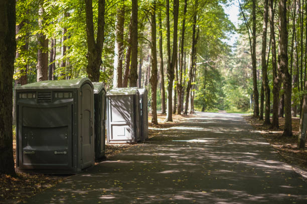 Types of Portable Toilets We Offer in Timberville, VA